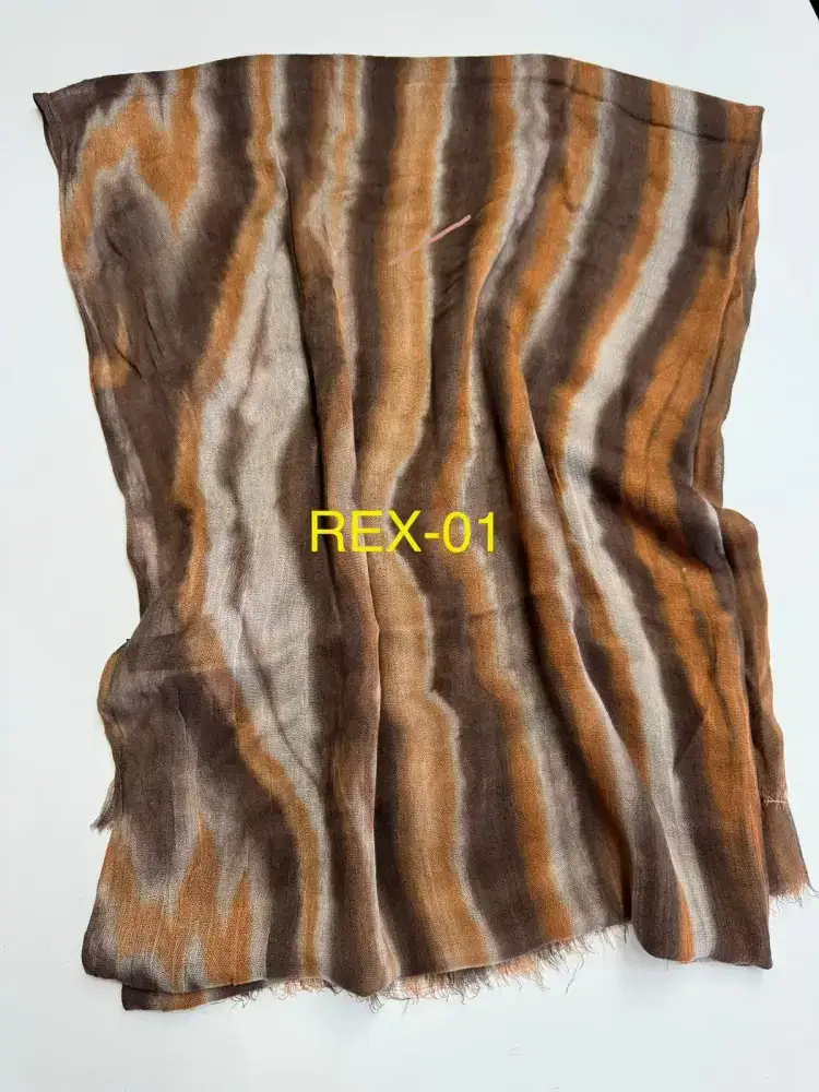 REX-01